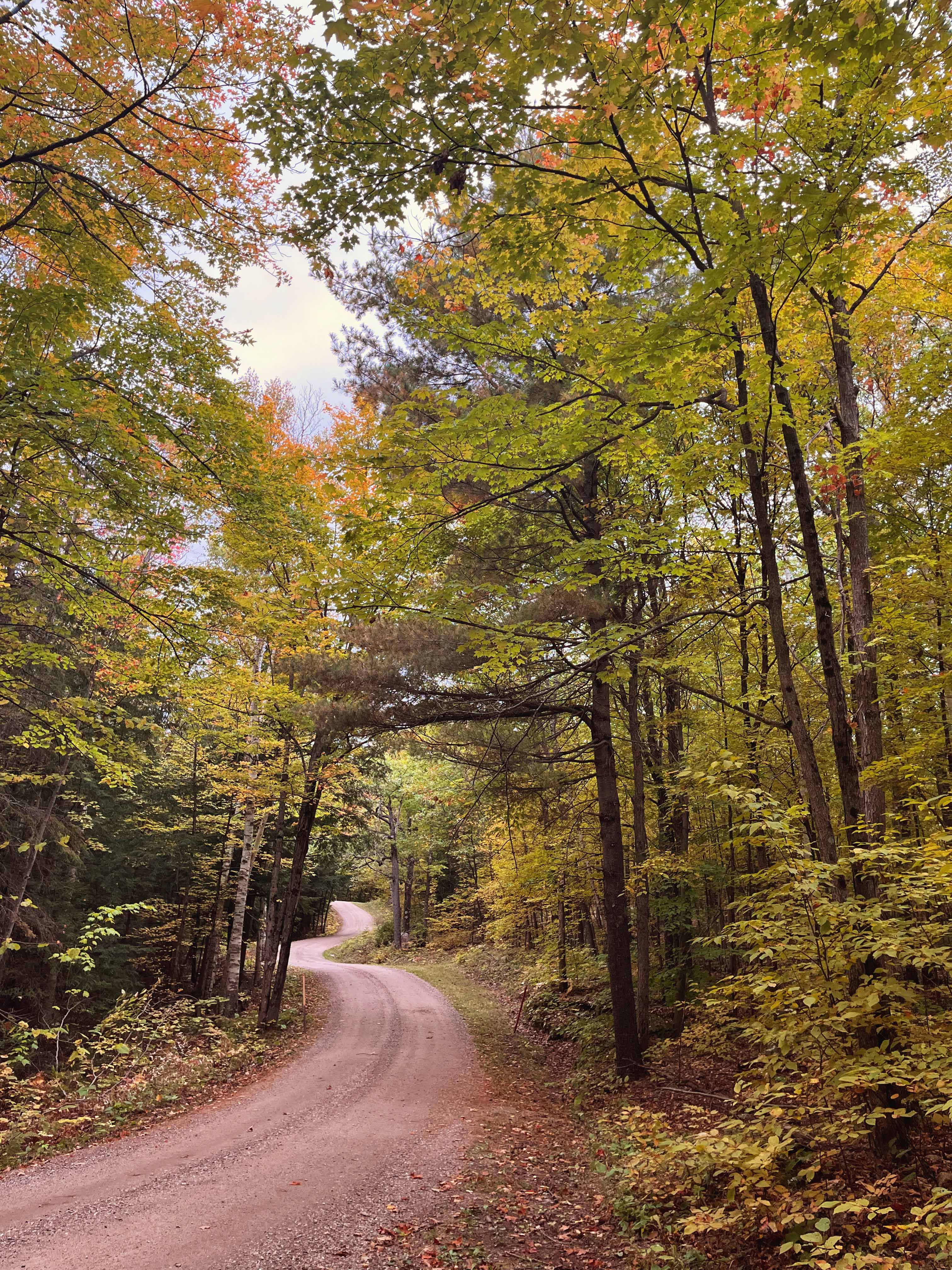 How to Let God Lead Your Life (Instead of Choosing Your Own Adventure)